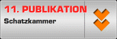 Publikation Nr. 11